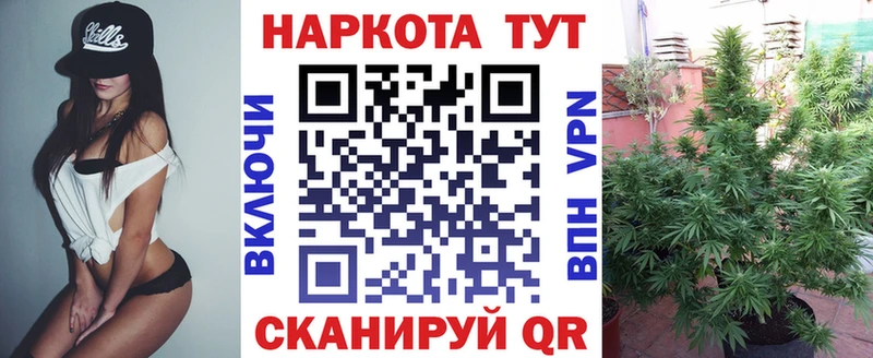 Виды наркотиков купить Коряжма Псилоцибиновые грибы  Мефедрон  ГАШ  Марихуана 