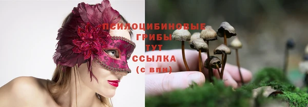 кристаллы Алексеевка