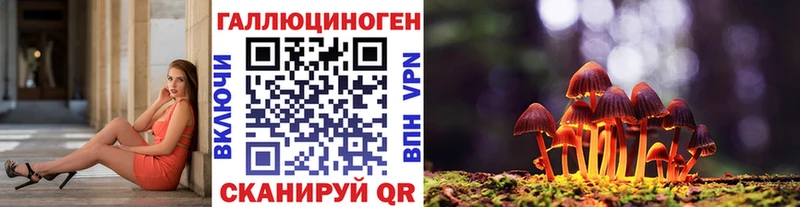закладки  Коряжма  Галлюциногенные грибы Psilocybe 