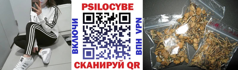 Галлюциногенные грибы Psilocybe Коряжма